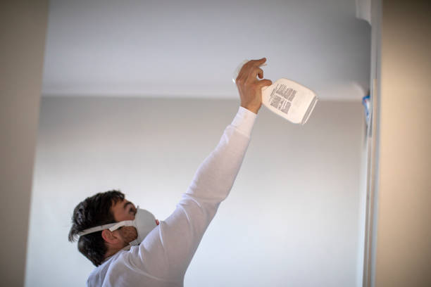 Best Commercial Mold Removal  in Valdese, NC