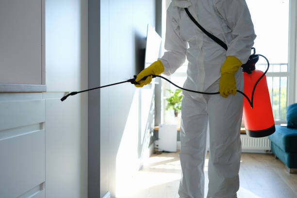 Best Mold Damage Repair  in Valdese, NC