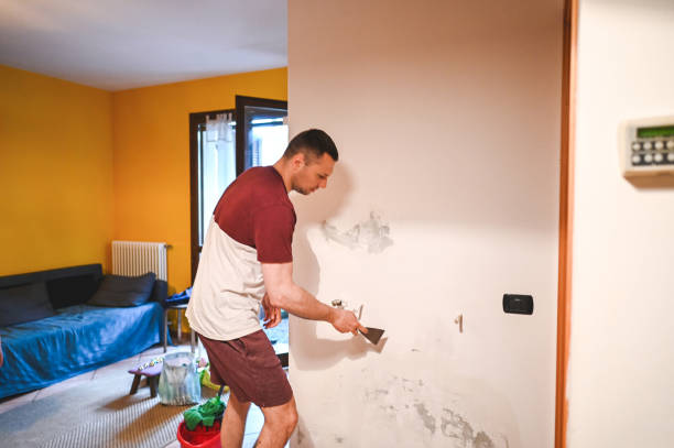 Best Mold Cleaning Services  in Valdese, NC